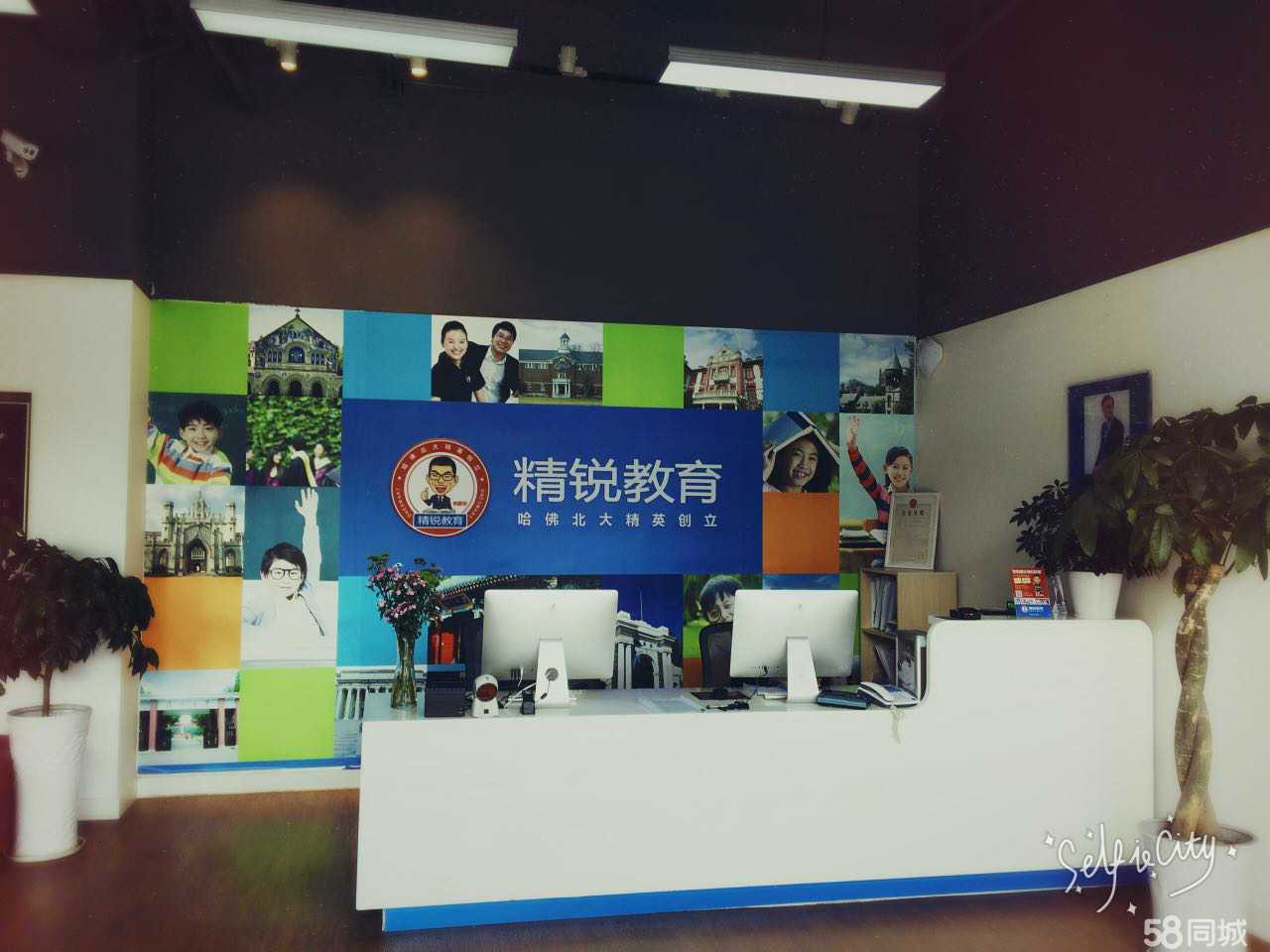 深耕教育咨询，嘉兴孩子成长的隐形翅膀